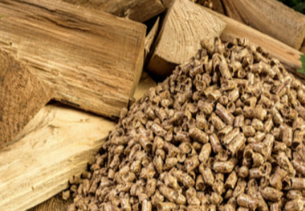 Bûches et granulés : deux combustibles ayant une origine commune : le bois - doc TotalÉnergies