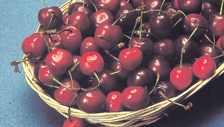 cerises