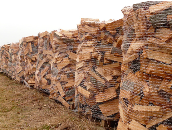 Image par Hans de Pixabay