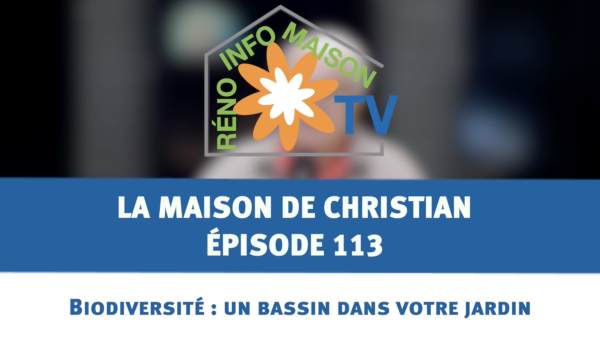 Biodiversité : un bassin dans votre jardin - les rediff de l'été - épisode 113