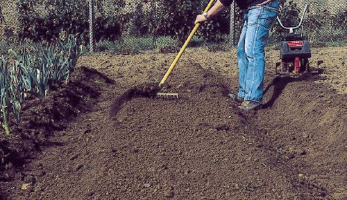 Des kits de plantation pour jardiner même sans extérieur - Elle