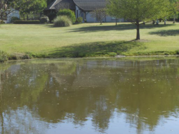 La proximité d'un étang ou d'une rivière peut expliquer la présence d'eau dans le vide sanitaire.