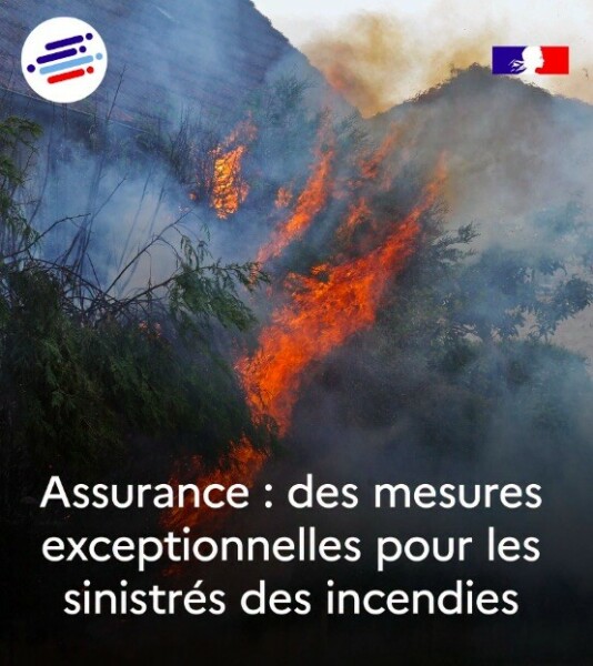 Incendies de for&ecirc;t : indemnisation, expertises et aides aux sinistr&eacute;s