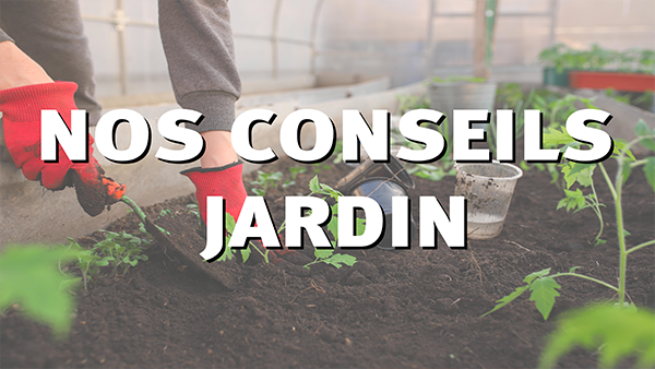 Nos conseils jardin