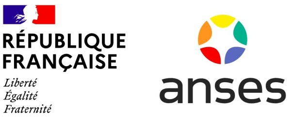 Pellets (granul&eacute;s) et monoxyde de carbone (CO) : le communiqu&eacute; de l'ANSES