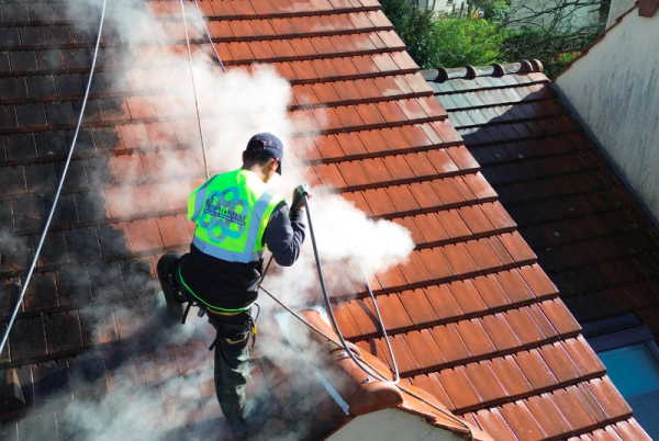 La vapeur &agrave; basse pression : id&eacute;ale pour nettoyer les toitures - doc. Prop&rsquo;Habitat