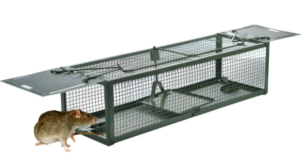 Les pièges à rongeurs permettent de capturer les loirs ou les souris qui logent dans les combles en hiver - doc. DSNOW