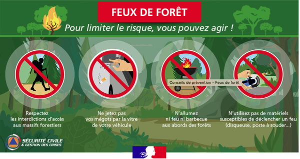 Feux de forêt : se protéger et protéger la maison