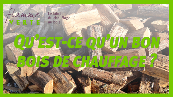 Qu'est-ce qu'un bon bois de chauffage ?