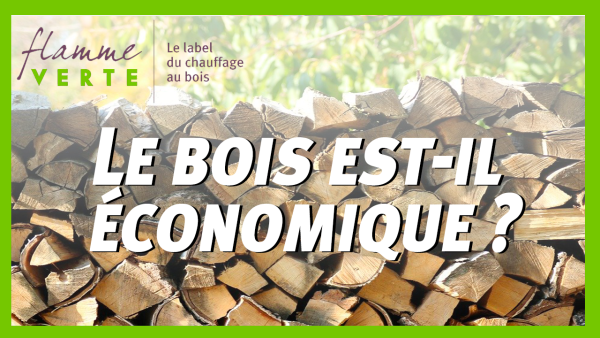 A quel point le bois de chauffage est-il économique ?