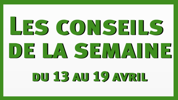 Les conseils de la semaine du 13 au 19 avril